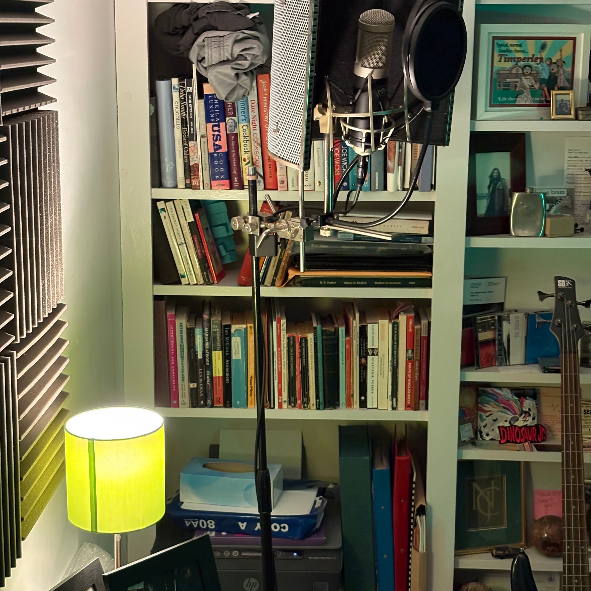 A vocal microphone on a mic stand